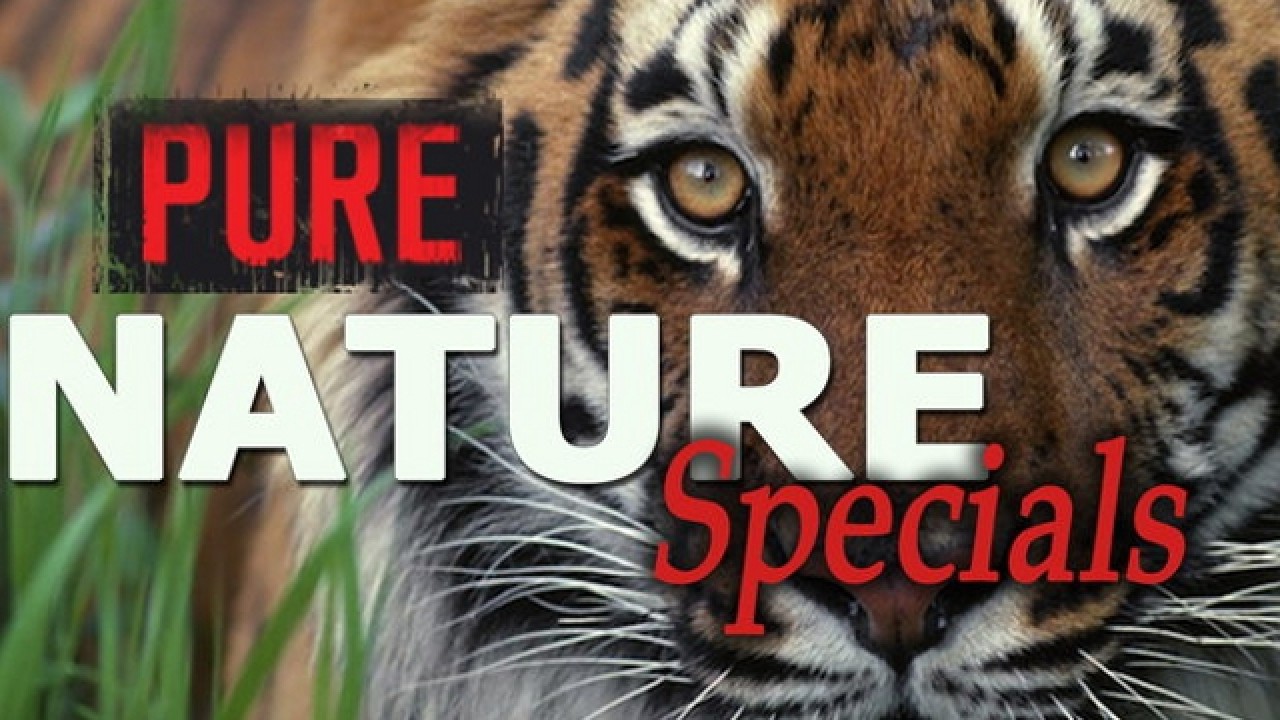 Pure Nature Specials