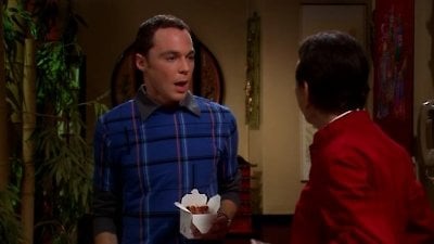 The Big Bang Theory Season 1 Episode 17