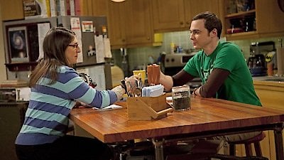 The Big Bang Theory Season 4 Episode 20