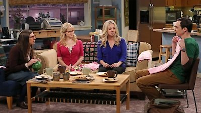 Watch The Big Bang Theory Season 6 Episode 12 - The Egg Salad Equivalency Now
