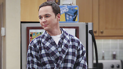 The Big Bang Theory Season 9 Episode 13