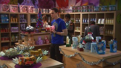 The Big Bang Theory Season 2 Episode 11