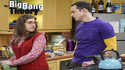 The Big Bang Theory Season 10 Episode 17
