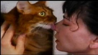 Cats 101 Season 1 Episode 3