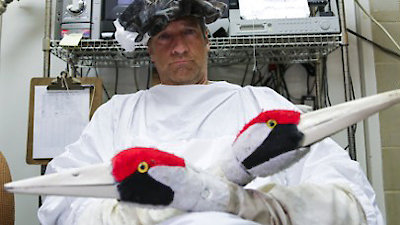 Somebody's Gotta Do It Season 1 Episode 2