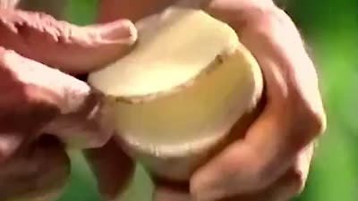 Food Factory USA Season 1 Episode 6