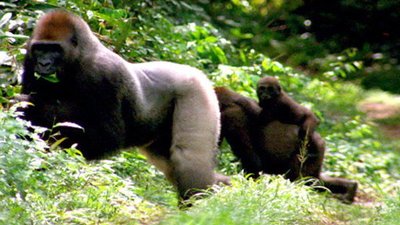 Jack Hanna's Into the Wild Season 8 Episode 2