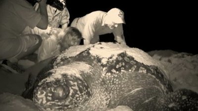 Jack Hanna's Into the Wild Season 8 Episode 4