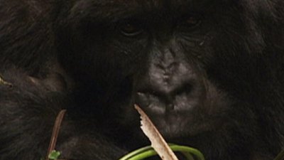 Jack Hanna's Into the Wild Season 8 Episode 9