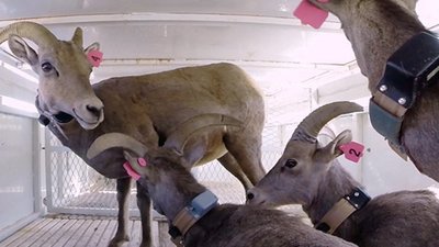 Jack Hanna's Into the Wild Season 8 Episode 10