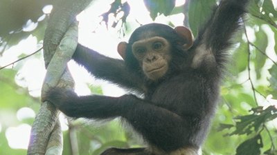 Jack Hanna's Into the Wild Season 8 Episode 11