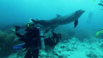 Jack Hanna's Into the Wild Season 8 Episode 12