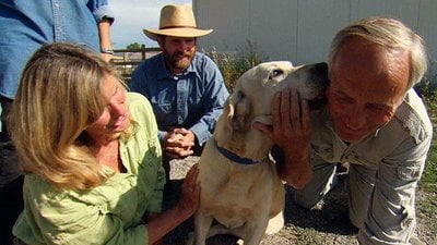 Jack Hanna's Into the Wild Season 3 Episode 6