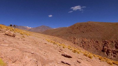 Jack Hanna's Into the Wild Season 4 Episode 11