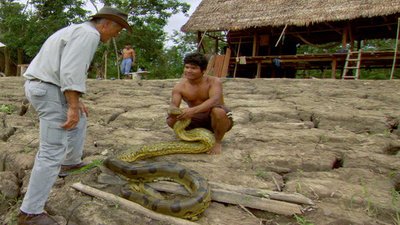 Jack Hanna's Into the Wild Season 4 Episode 19