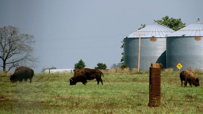 Jack Hanna's Into the Wild Season 5 Episode 5