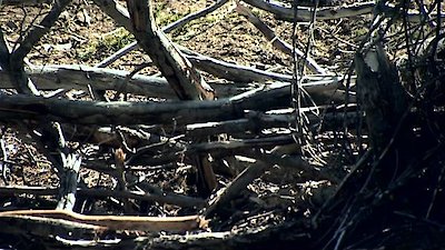 Edge of Alaska Season 1 Episode 5