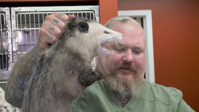 Dr. K's Exotic Animal ER Season 4 Episode 2