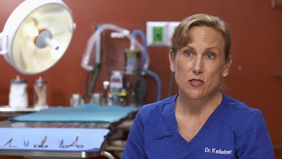 Dr. K's Exotic Animal ER Season 4 Episode 11