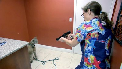 Dr. K's Exotic Animal ER Season 2 Episode 1