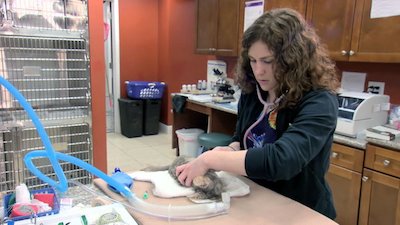 Dr. K's Exotic Animal ER Season 2 Episode 2