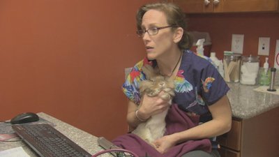 Dr. K's Exotic Animal ER Season 2 Episode 7