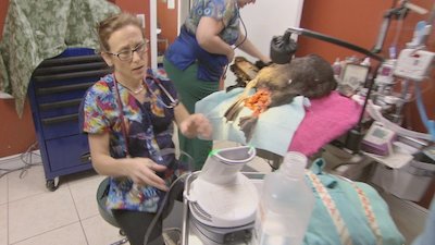 Dr. K's Exotic Animal ER Season 2 Episode 8