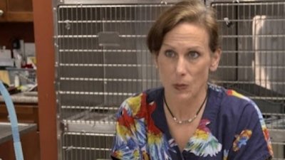 Dr. K's Exotic Animal ER Season 3 Episode 6