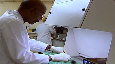 The New Detectives Season 5 Episode 11