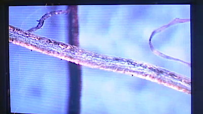 The New Detectives Season 5 Episode 9