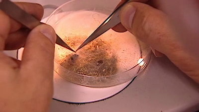 The New Detectives Season 3 Episode 3