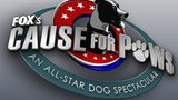 An All-Star Dog Spectacular