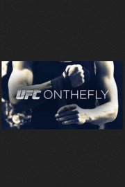 UFC on the Fly