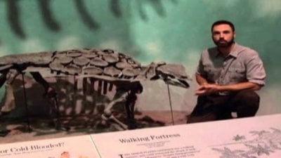 The Amazing World of Dinosaurs Season 1 Episode 3