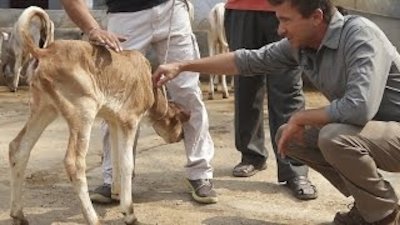 Booze Traveler Season 2 Episode 16