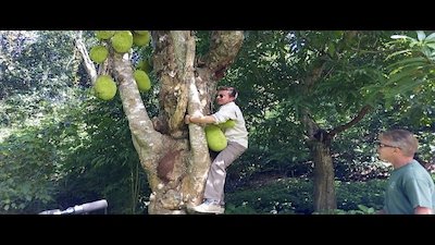 Booze Traveler Season 3 Episode 13