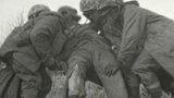 US Marines In The Korean War (1950-53): Shackled