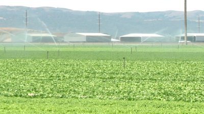 How Cities Work Season 1 Episode 2