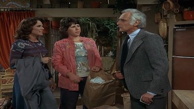 Rhoda Season 2 Episode 19