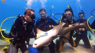 Caught on Camera With Nick Cannon Season 2 Episode 7