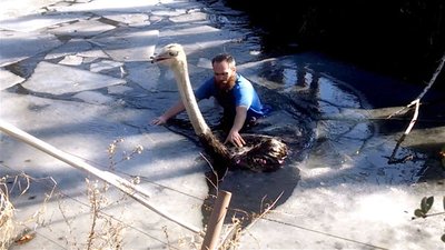 Caught on Camera With Nick Cannon Season 3 Episode 2