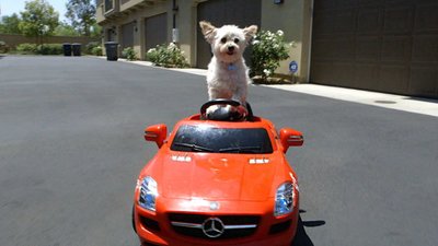 Caught on Camera With Nick Cannon Season 3 Episode 7