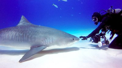 Caught on Camera With Nick Cannon Season 3 Episode 10