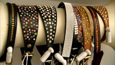 Martin Clunes's Wild Life Season 1 Episode 1