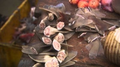 Martin Clunes's Wild Life Season 1 Episode 4