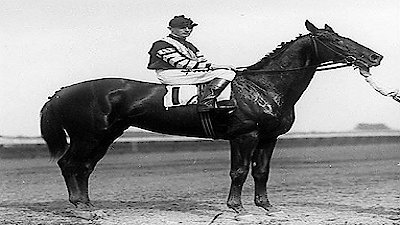 American Experience Season 15 Episode 11