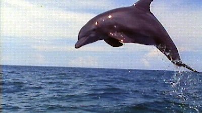 Nature Season 10 Episode 20