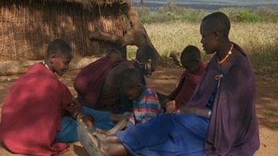 Nature Season 20 Episode 1