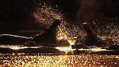 Nature Season 22 Episode 1