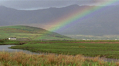 Nature Season 22 Episode 11